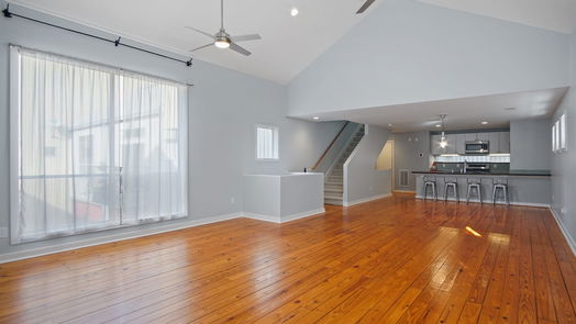 Houston 3-story, 2-bed 5117 Lillian Street-idx