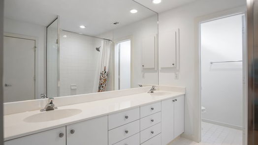 Houston 3-story, 2-bed 5117 Lillian Street-idx