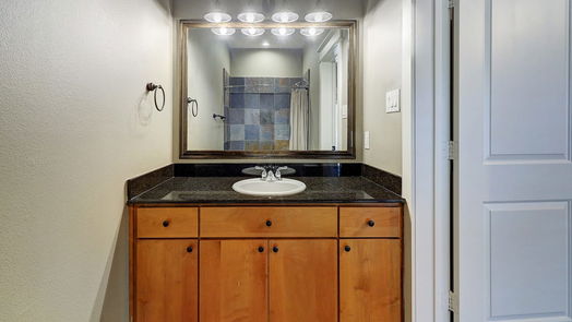 Houston 3-story, 3-bed 509 Birdsall Street-idx