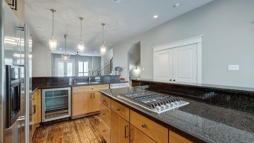 Houston 3-story, 3-bed 509 Birdsall Street-idx