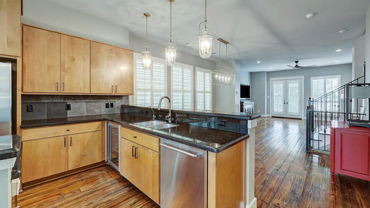 Houston 3-story, 3-bed 509 Birdsall Street-idx