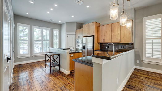 Houston 3-story, 3-bed 509 Birdsall Street-idx