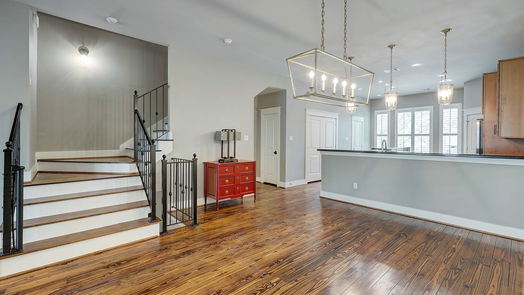 Houston 3-story, 3-bed 509 Birdsall Street-idx