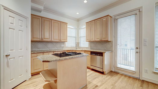 Houston 3-story, 3-bed 703 Knox Street-idx