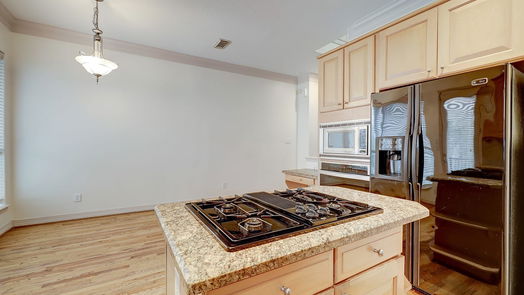 Houston 3-story, 3-bed 703 Knox Street-idx