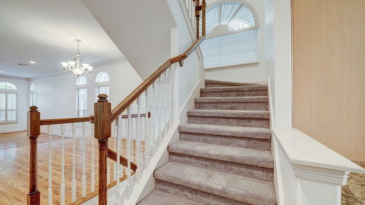 Houston 3-story, 3-bed 703 Knox Street-idx