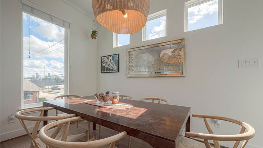 Houston 3-story, 2-bed 1102 Reinerman Street-idx