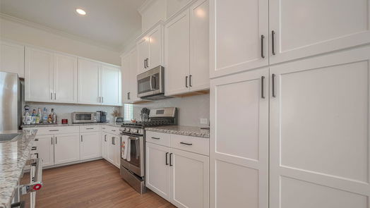 Houston 3-story, 2-bed 1102 Reinerman Street-idx