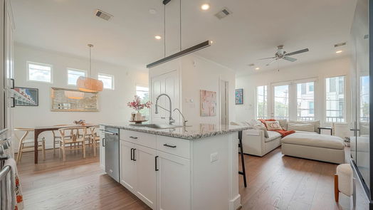 Houston 3-story, 2-bed 1102 Reinerman Street-idx