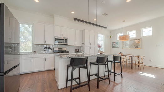 Houston 3-story, 2-bed 1102 Reinerman Street-idx