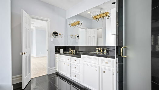 Houston 2-story, 3-bed 703 Mosby Circle-idx