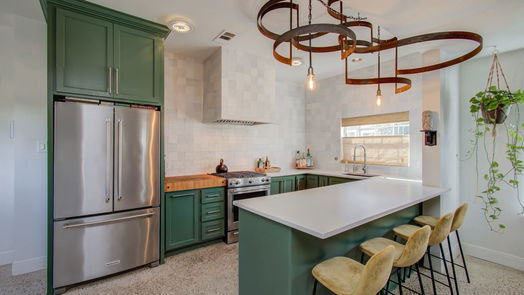 Houston 2-story, 3-bed 1521 Shearn Street-idx