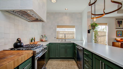 Houston 2-story, 3-bed 1521 Shearn Street-idx