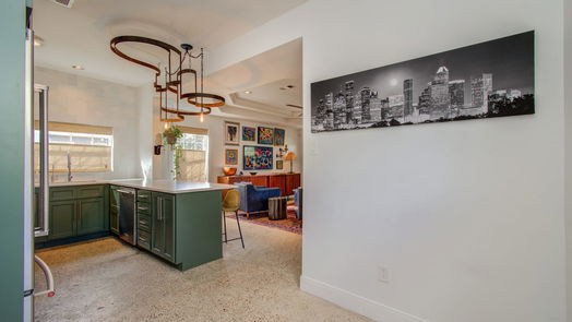 Houston 2-story, 3-bed 1521 Shearn Street-idx