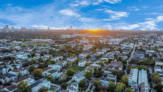 Houston 3-story, 2-bed 4217 Rose Street D-idx