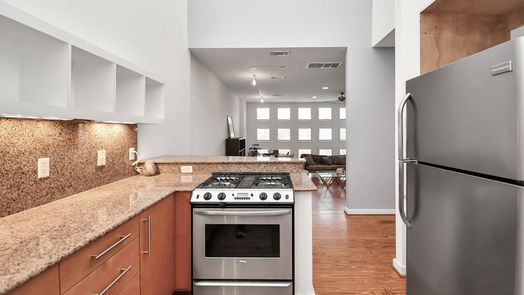 Houston 3-story, 2-bed 4217 Rose Street D-idx