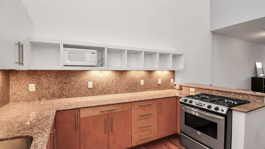 Houston 3-story, 2-bed 4217 Rose Street D-idx