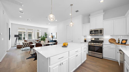 Houston 3-story, 3-bed 4308 Marina Street C-idx
