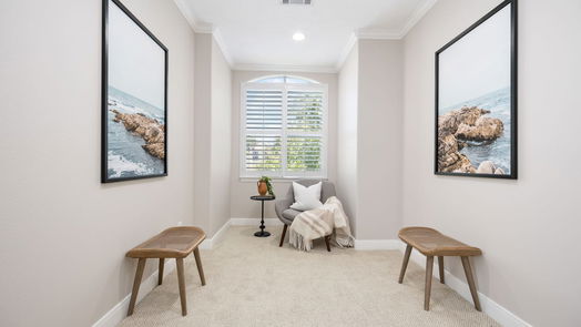 Houston 3-story, 3-bed 224 Birdsall Street-idx