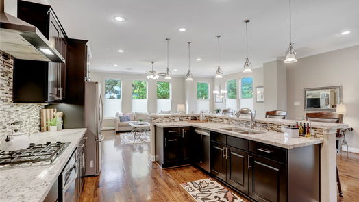 Houston 3-story, 3-bed 1518 Birdsall Street D-idx