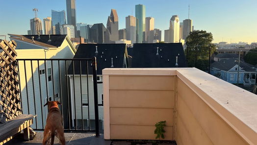 Houston 4-story, 3-bed 1416 Holly Street-idx