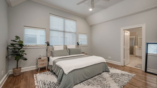 Houston 3-story, 3-bed 4532 Lillian Street-idx