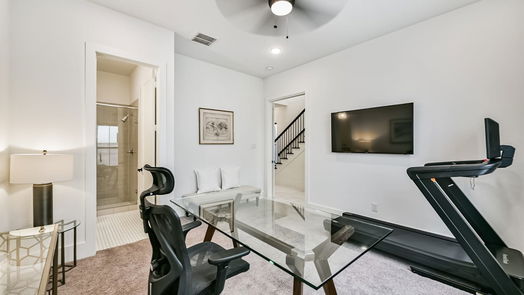 Houston 3-story, 3-bed 119 Arnold Street-idx