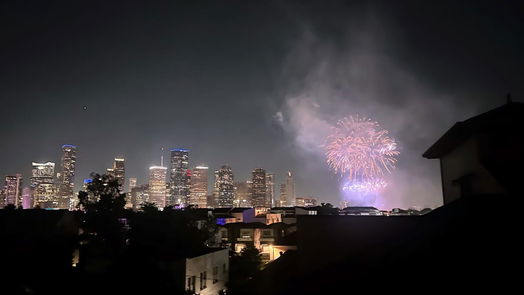 Houston 4-story, 3-bed 1708 Silver Street-idx