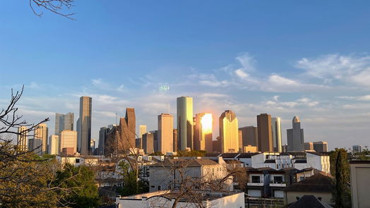 Houston 4-story, 3-bed 1708 Silver Street-idx