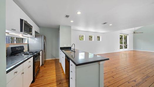 Houston 3-story, 2-bed 5123 Lillian Street-idx