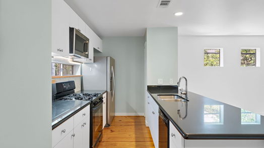 Houston 3-story, 2-bed 5123 Lillian Street-idx