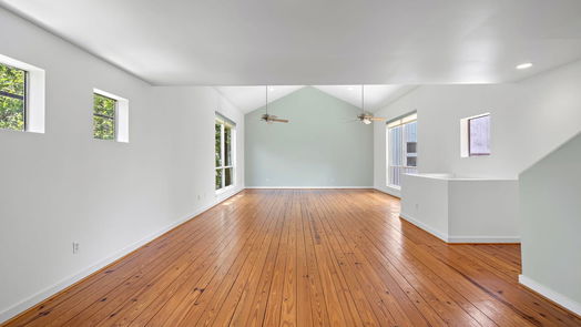 Houston 3-story, 2-bed 5123 Lillian Street-idx