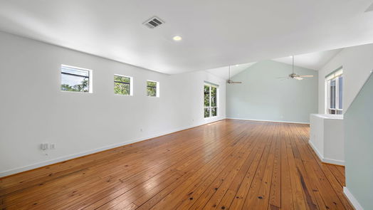 Houston 3-story, 2-bed 5123 Lillian Street-idx
