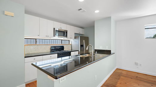 Houston 3-story, 2-bed 5123 Lillian Street-idx