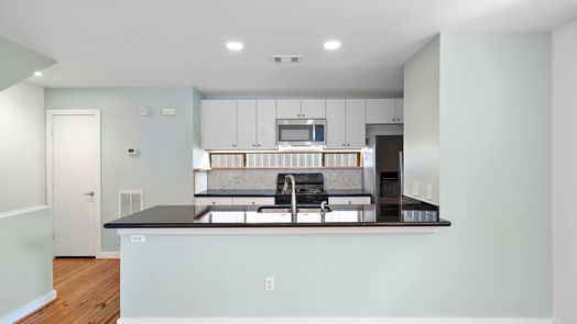 Houston 3-story, 2-bed 5123 Lillian Street-idx