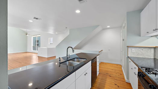 Houston 3-story, 2-bed 5123 Lillian Street-idx