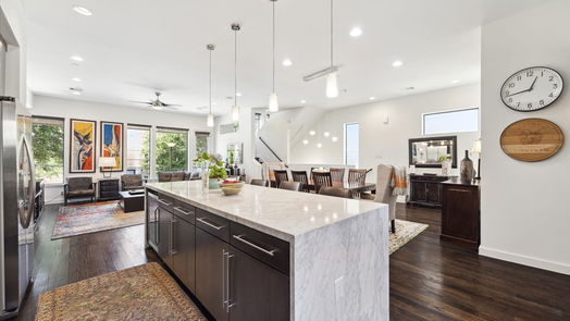 Houston 4-story, 3-bed 1707 Silver Street-idx