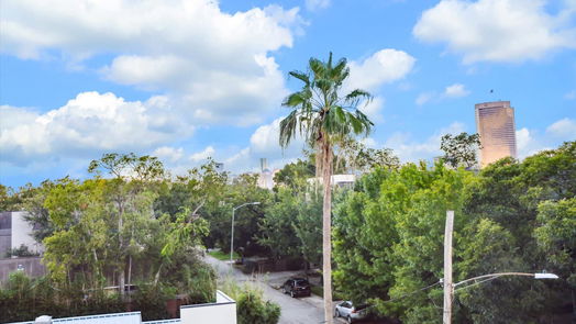 Houston 3-story, 3-bed 501 Fowler Street-idx