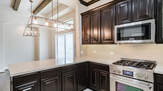 Houston 3-story, 3-bed 303 Snover Street-idx