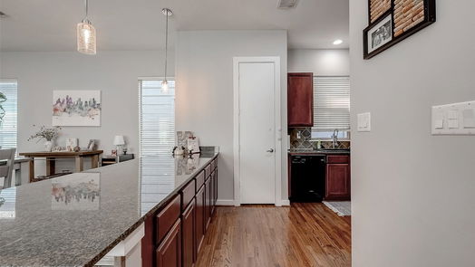Houston 3-story, 3-bed 1144 Patterson Street-idx