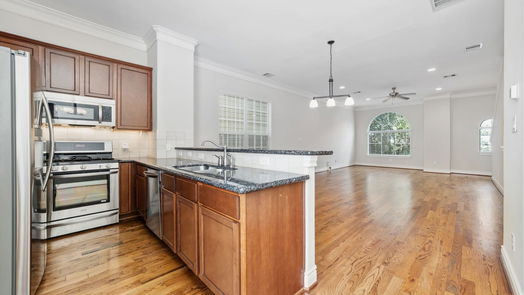 Houston 3-story, 2-bed 1719 Spring Street-idx