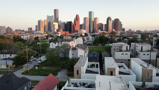 Houston 4-story, 3-bed 1703 Goliad Street-idx