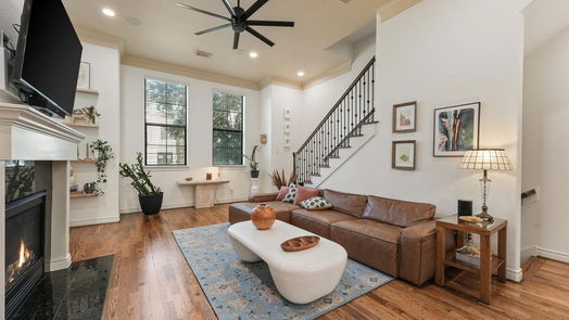 Houston 4-story, 3-bed 1733 Edwards Street-idx