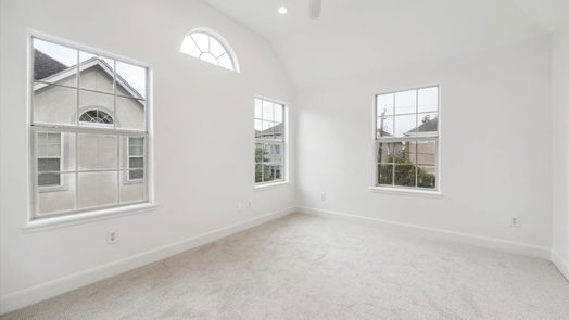 Houston 3-story, 3-bed 1312 Cohn Street-idx