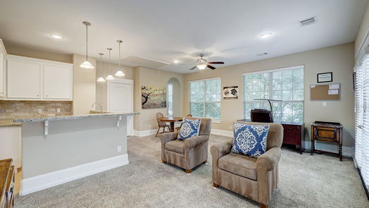 Houston 3-story, 3-bed 820 W 17th Street-idx