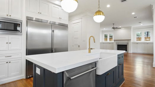 Houston 2-story, 4-bed 1705 Blount Street-idx