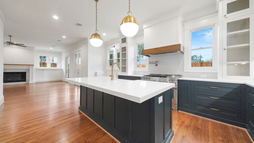 Houston 2-story, 4-bed 1705 Blount Street-idx
