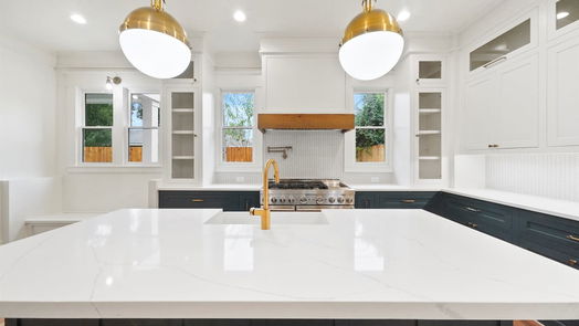 Houston 2-story, 4-bed 1705 Blount Street-idx