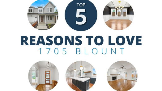 Houston 2-story, 4-bed 1705 Blount Street-idx