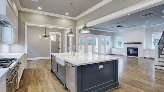 Houston 2-story, 4-bed 1438 Herkimer Street-idx